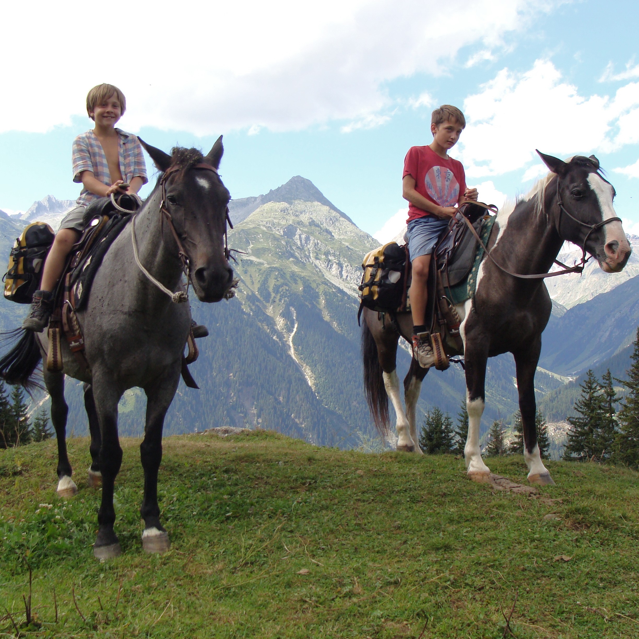 SurTrekk - Surselva Pferde-Trekking